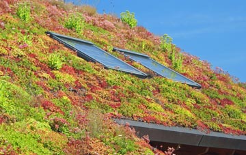 Flax Moss living roof systems